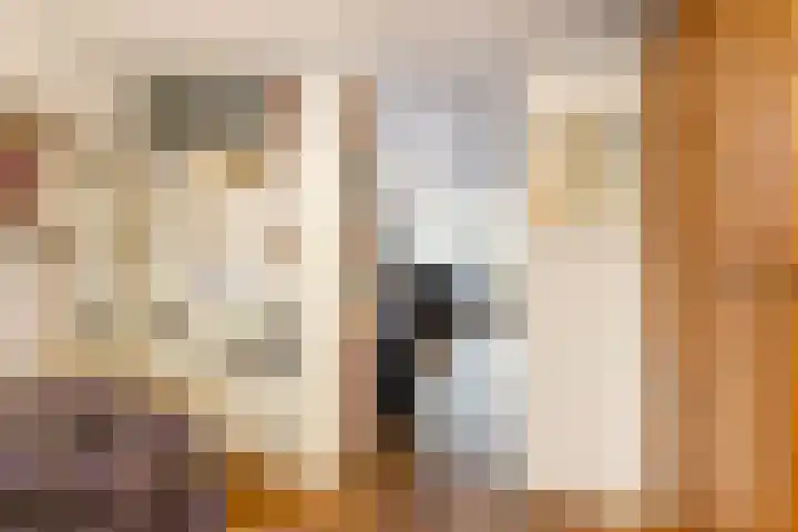 De Savornin Lohmanlaan 97 B 02 Rotterdam thumbnail 9