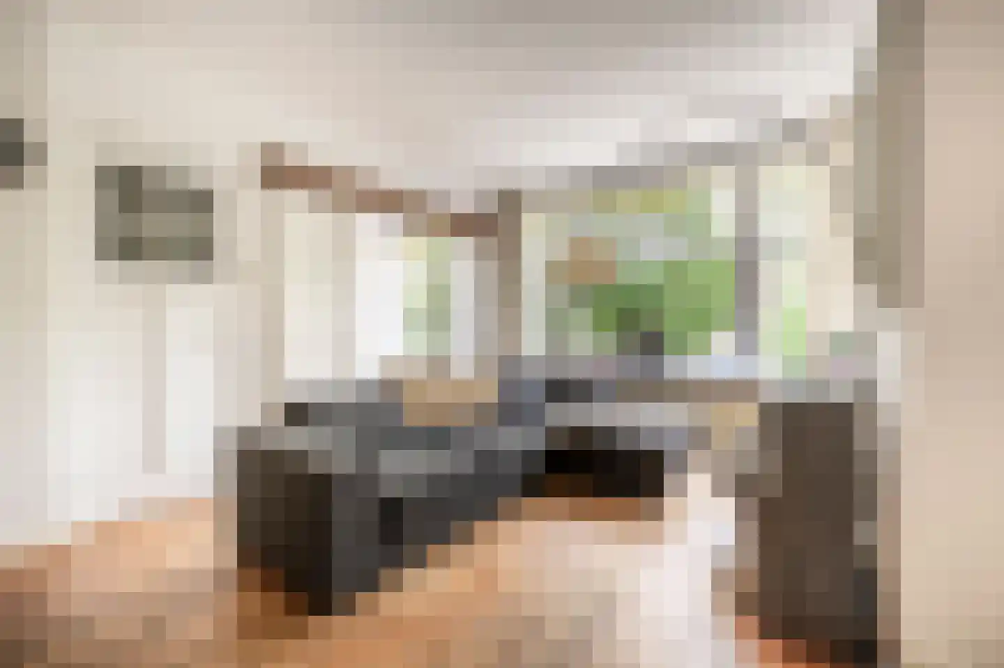 De Savornin Lohmanlaan 99 A 01 Rotterdam thumbnail 5