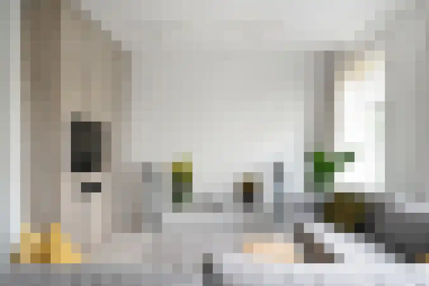 De Savornin Lohmanlaan 99 A 01 Rotterdam thumbnail 7