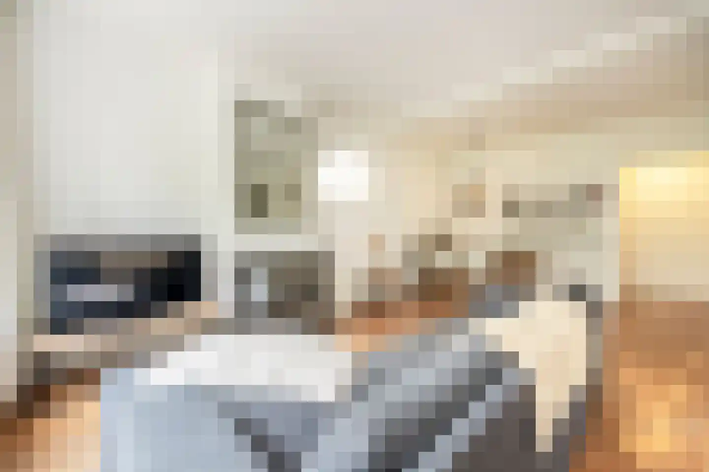 De Savornin Lohmanlaan 99 A 01 Rotterdam thumbnail 8