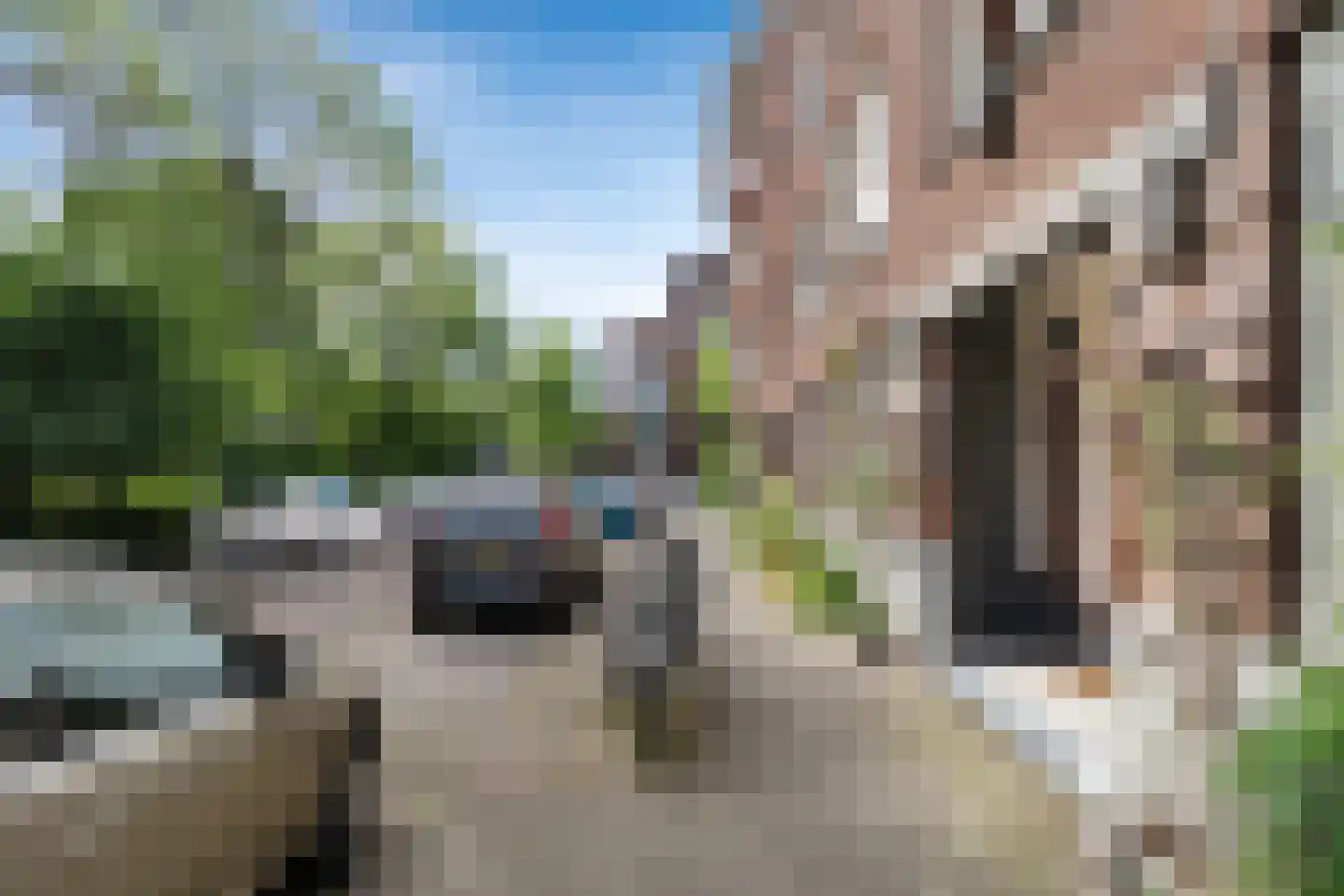 De Savornin Lohmanlaan 99 B Rotterdam thumbnail 40