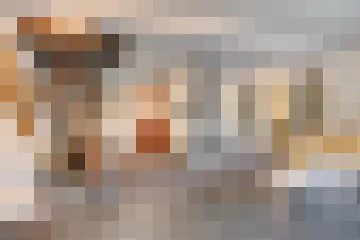 De Savornin Lohmanplantsoen 35 Voorschoten thumbnail 10