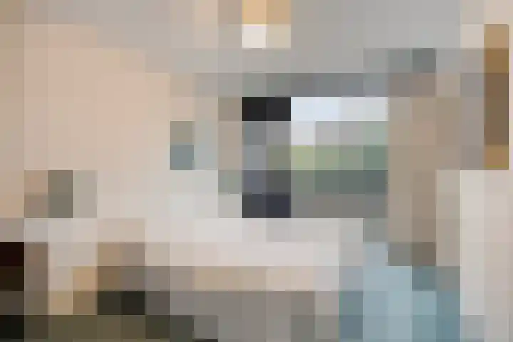 De Savornin Lohmanplantsoen 35 Voorschoten thumbnail 20