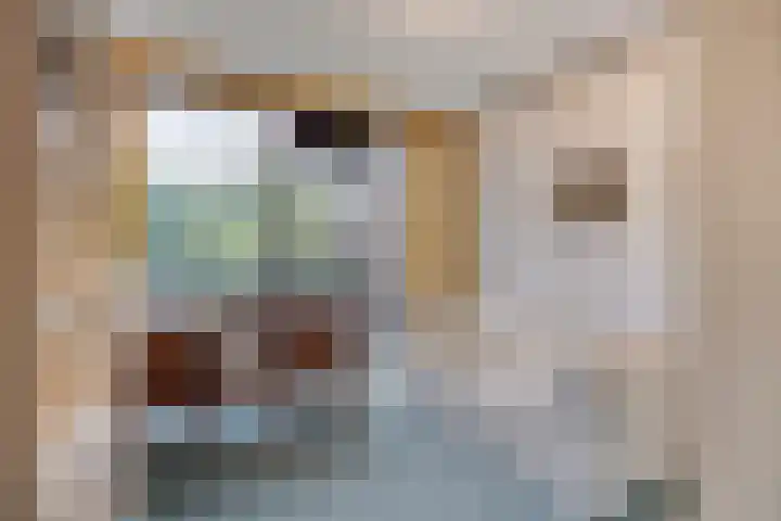 De Savornin Lohmanplantsoen 35 Voorschoten thumbnail 24
