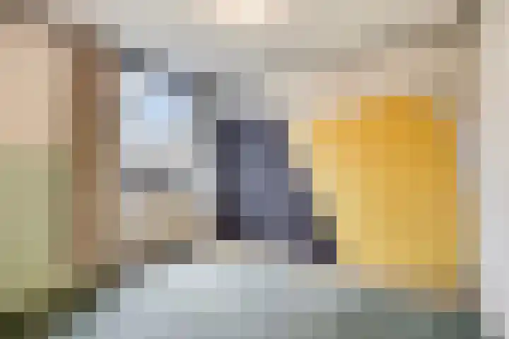 De Savornin Lohmanplantsoen 35 Voorschoten thumbnail 26