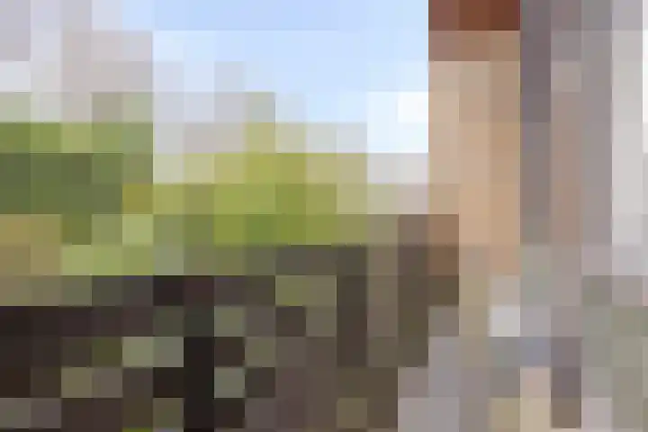 De Savornin Lohmanplantsoen 35 Voorschoten thumbnail 29