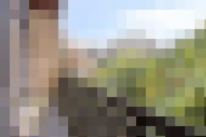De Savornin Lohmanplantsoen 35 Voorschoten thumbnail 30