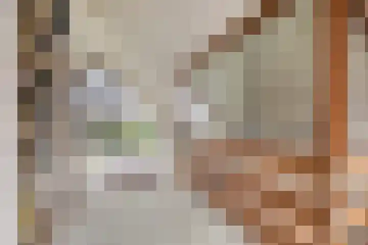 De Savornin Lohmanplantsoen 35 Voorschoten thumbnail 35