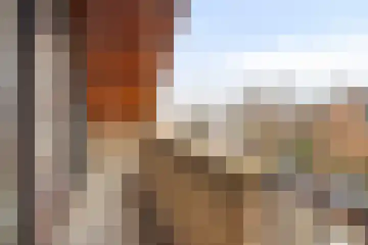 De Savornin Lohmanplantsoen 35 Voorschoten thumbnail 36