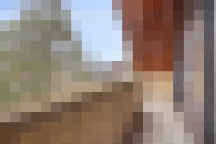 De Savornin Lohmanplantsoen 35 Voorschoten thumbnail 37
