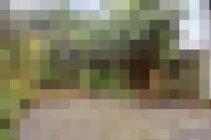 De Savornin Lohmanplantsoen 35 Voorschoten thumbnail 39