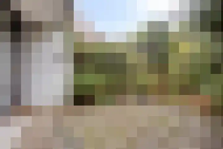 De Savornin Lohmanplantsoen 35 Voorschoten thumbnail 40