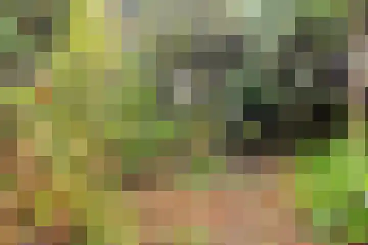 De Savornin Lohmanplantsoen 35 Voorschoten thumbnail 41