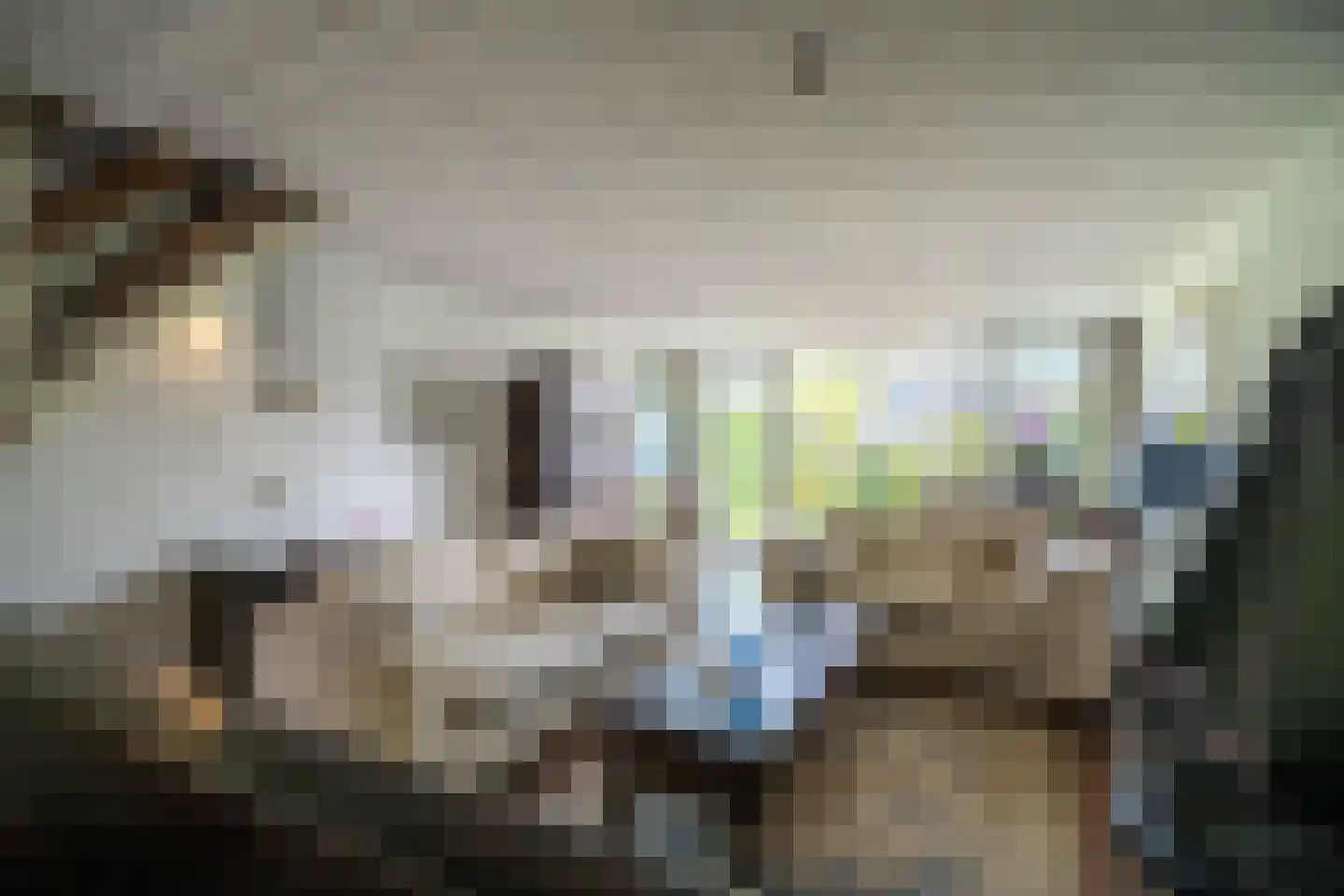 De Savornin Lohmanplantsoen 4 Voorschoten thumbnail 11