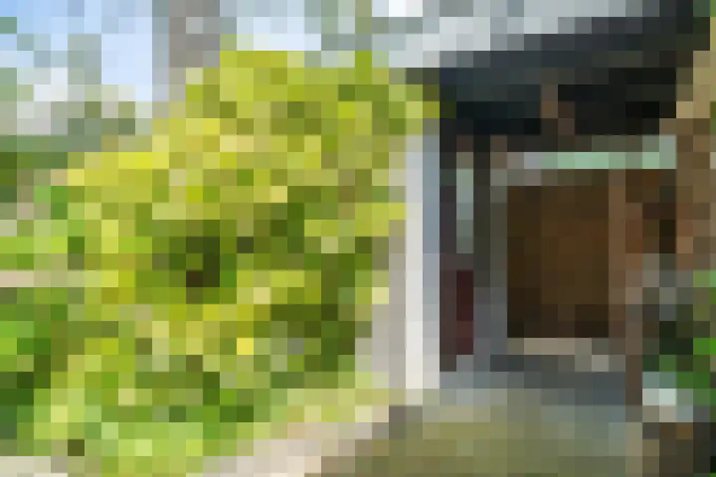 De Savornin Lohmanplantsoen 4 Voorschoten thumbnail 17