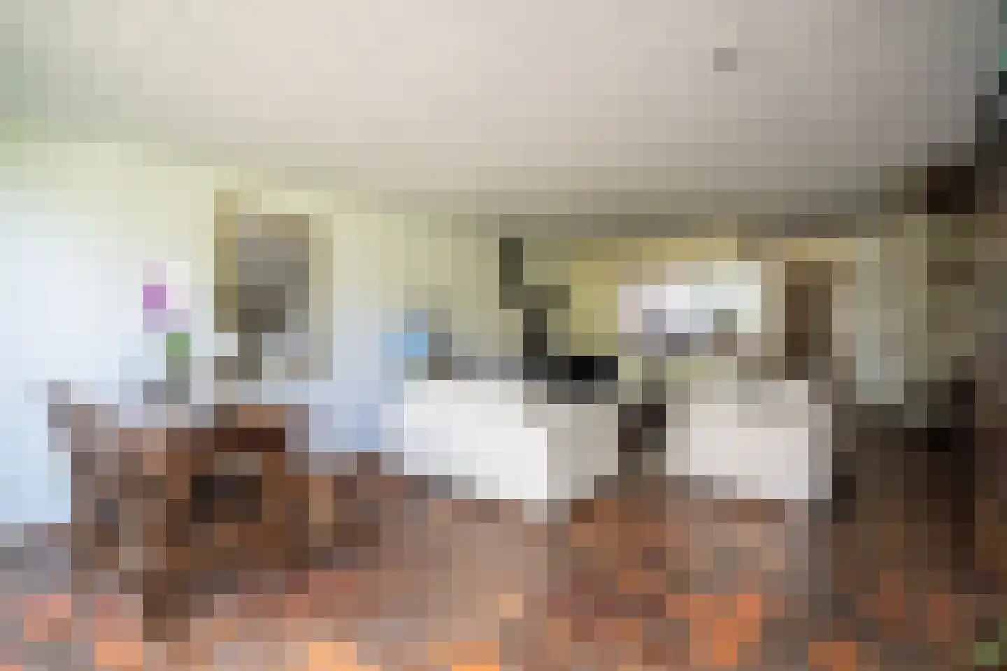 De Savornin Lohmanplantsoen 4 Voorschoten thumbnail 22