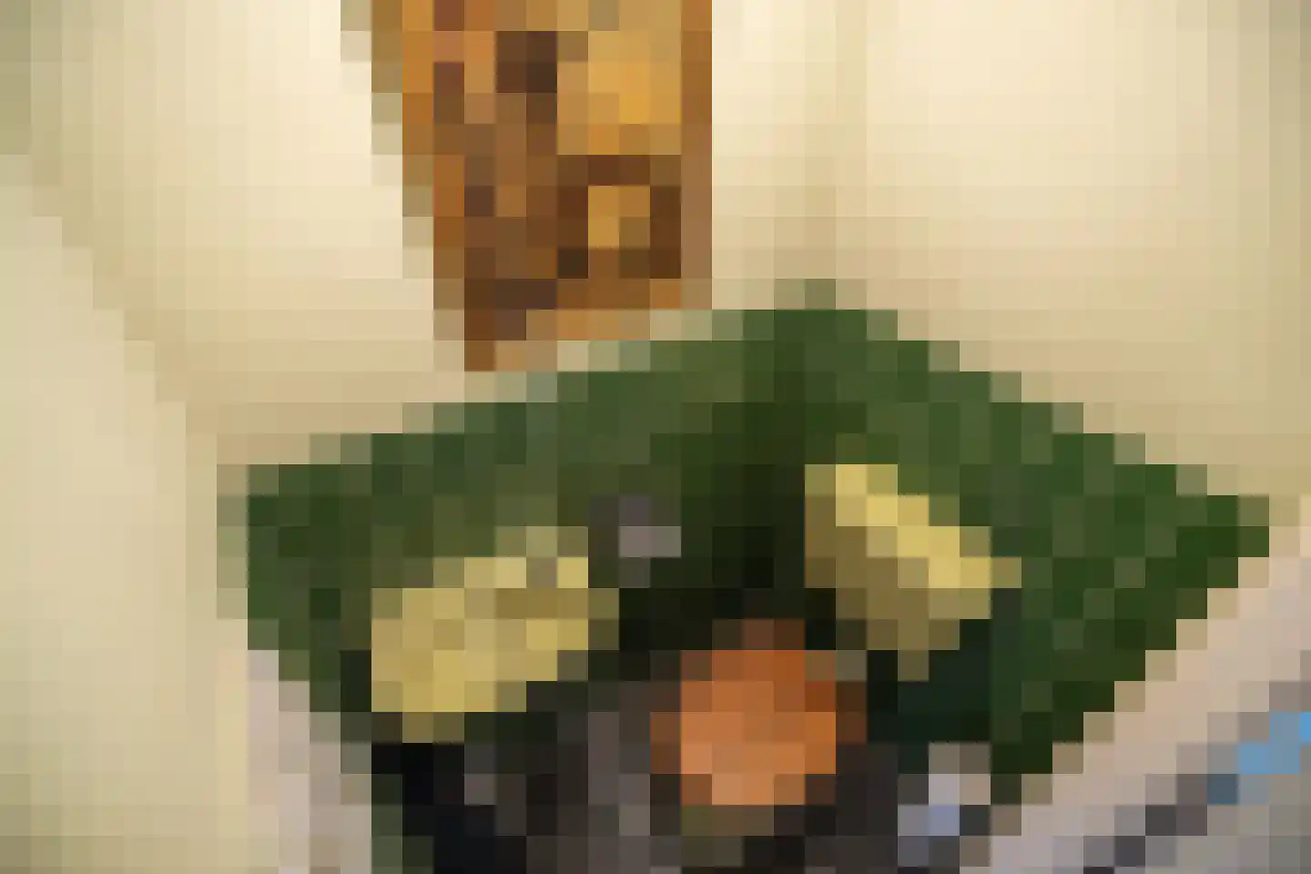 De Savornin Lohmanplantsoen 4 Voorschoten thumbnail 27