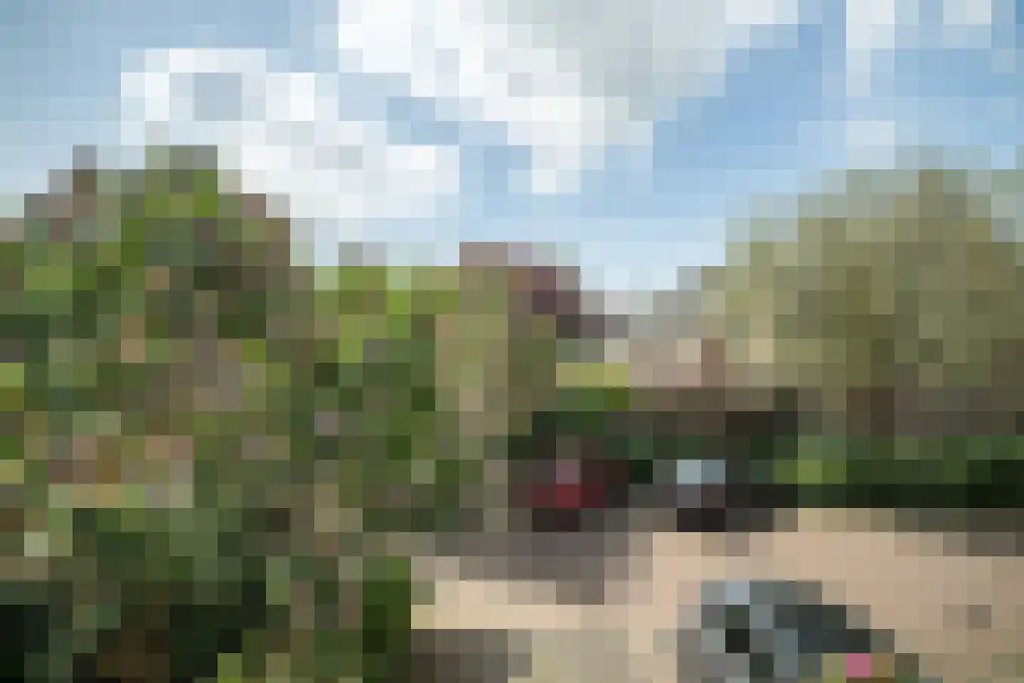 De Savornin Lohmanplantsoen 4 Voorschoten thumbnail 35