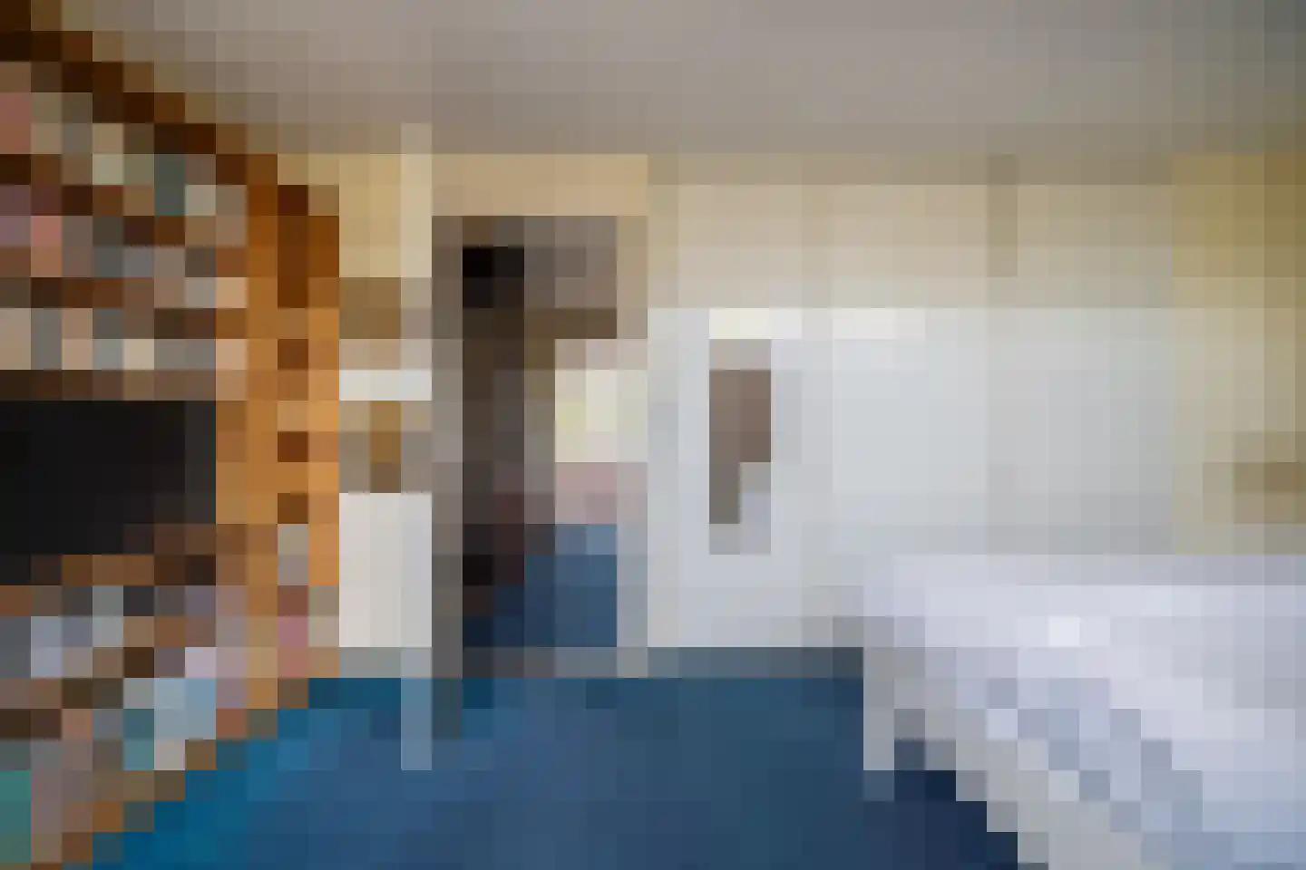 De Savornin Lohmanplantsoen 4 Voorschoten thumbnail 36