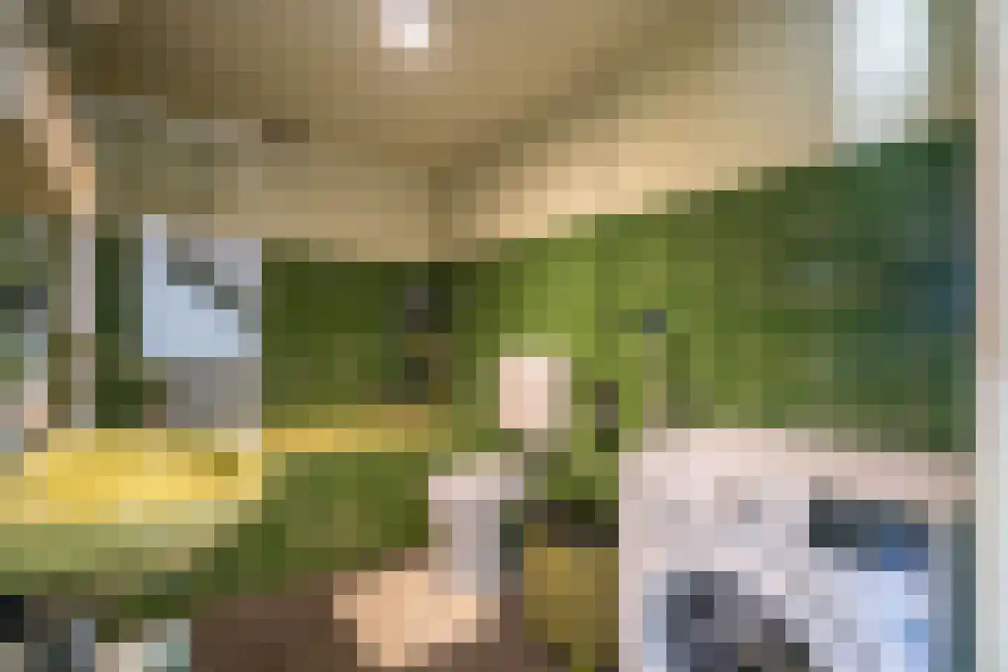 De Savornin Lohmanplantsoen 4 Voorschoten thumbnail 37