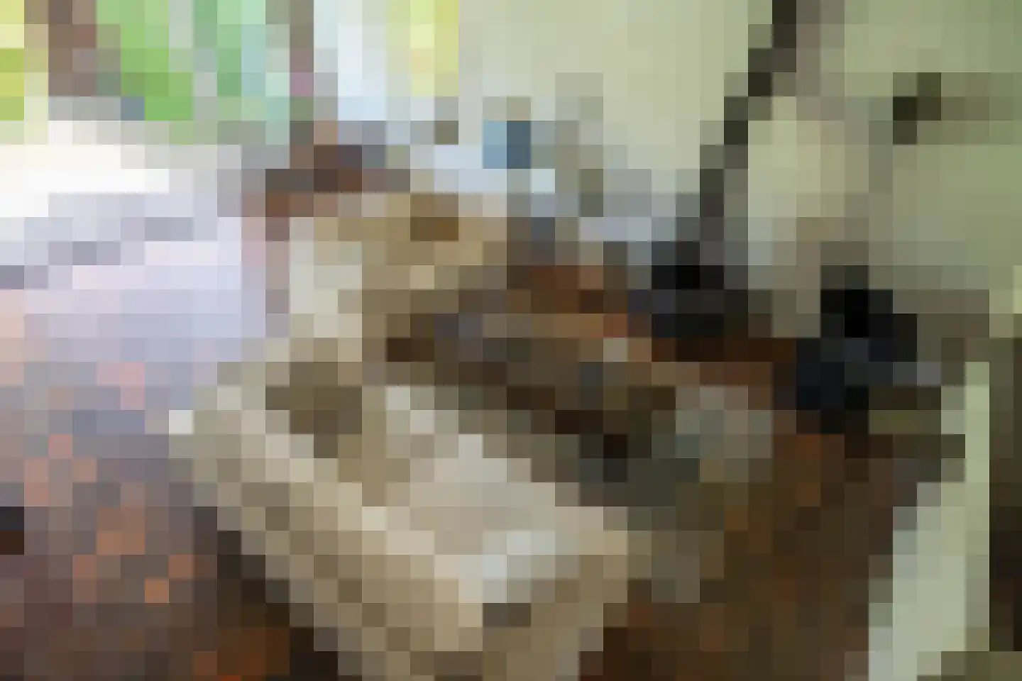 De Savornin Lohmanplantsoen 4 Voorschoten thumbnail 4