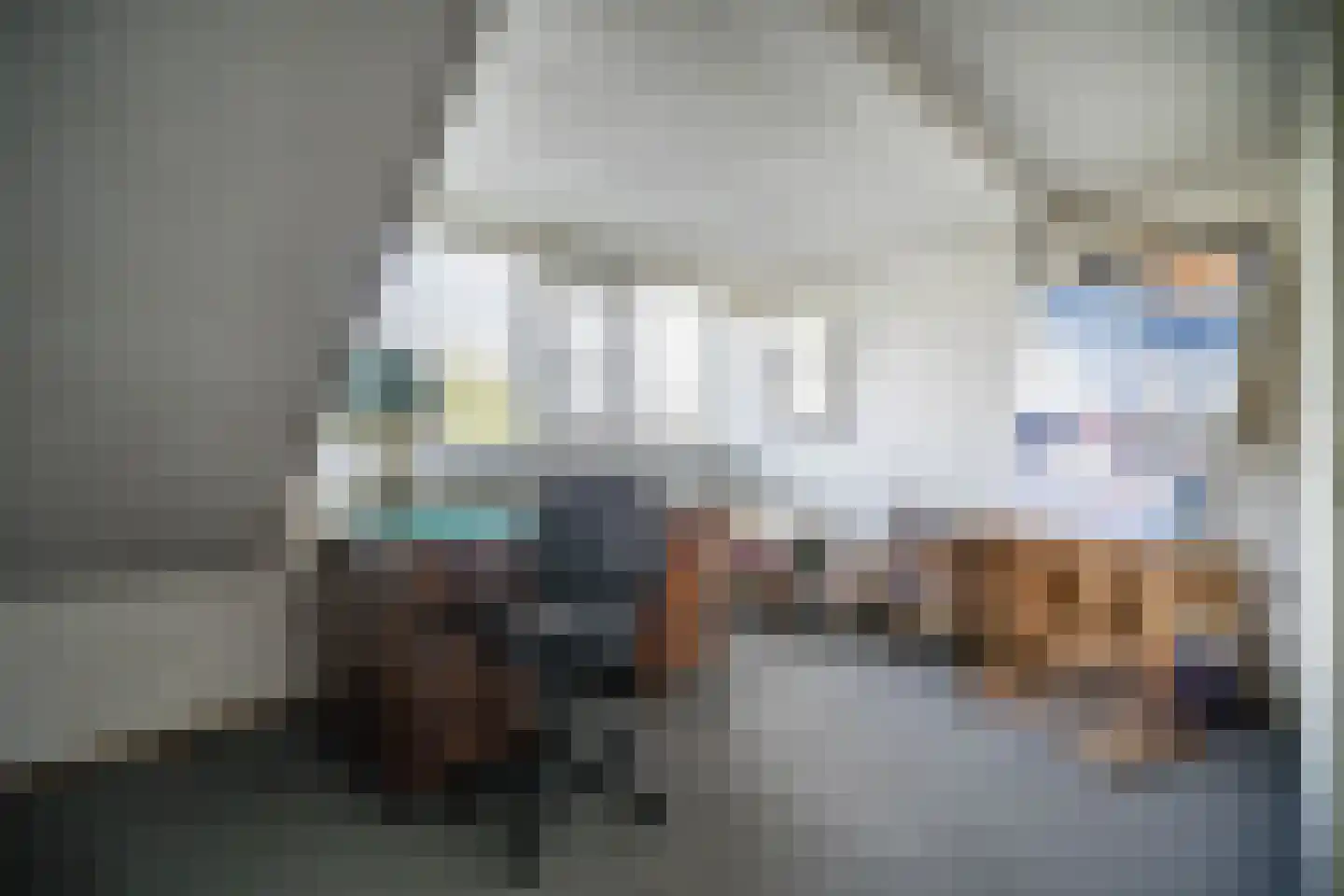 De Savornin Lohmanplantsoen 4 Voorschoten thumbnail 46
