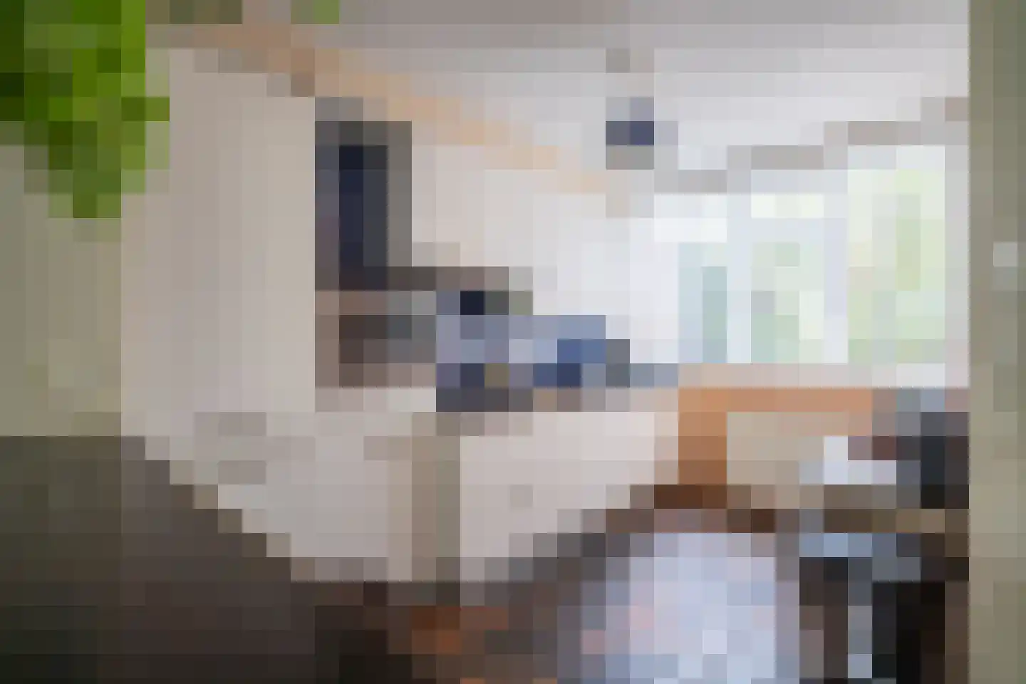 De Savornin Lohmanplantsoen 4 Voorschoten thumbnail 7