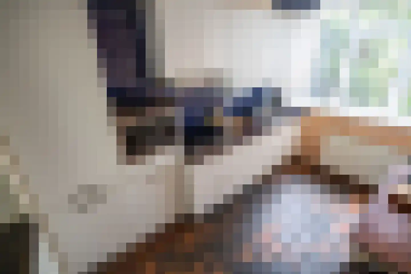 De Savornin Lohmanplantsoen 4 Voorschoten thumbnail 9