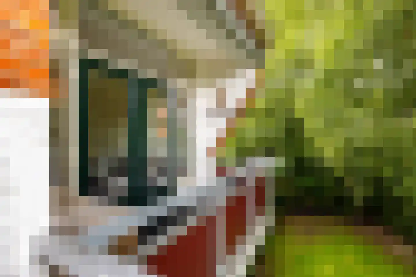 De Savornin Lohmanplein 7 b Groningen thumbnail 20
