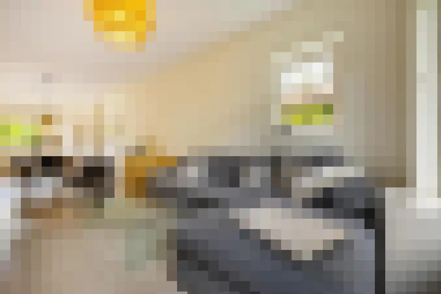 De Savornin Lohmanplein 7 b Groningen thumbnail 30