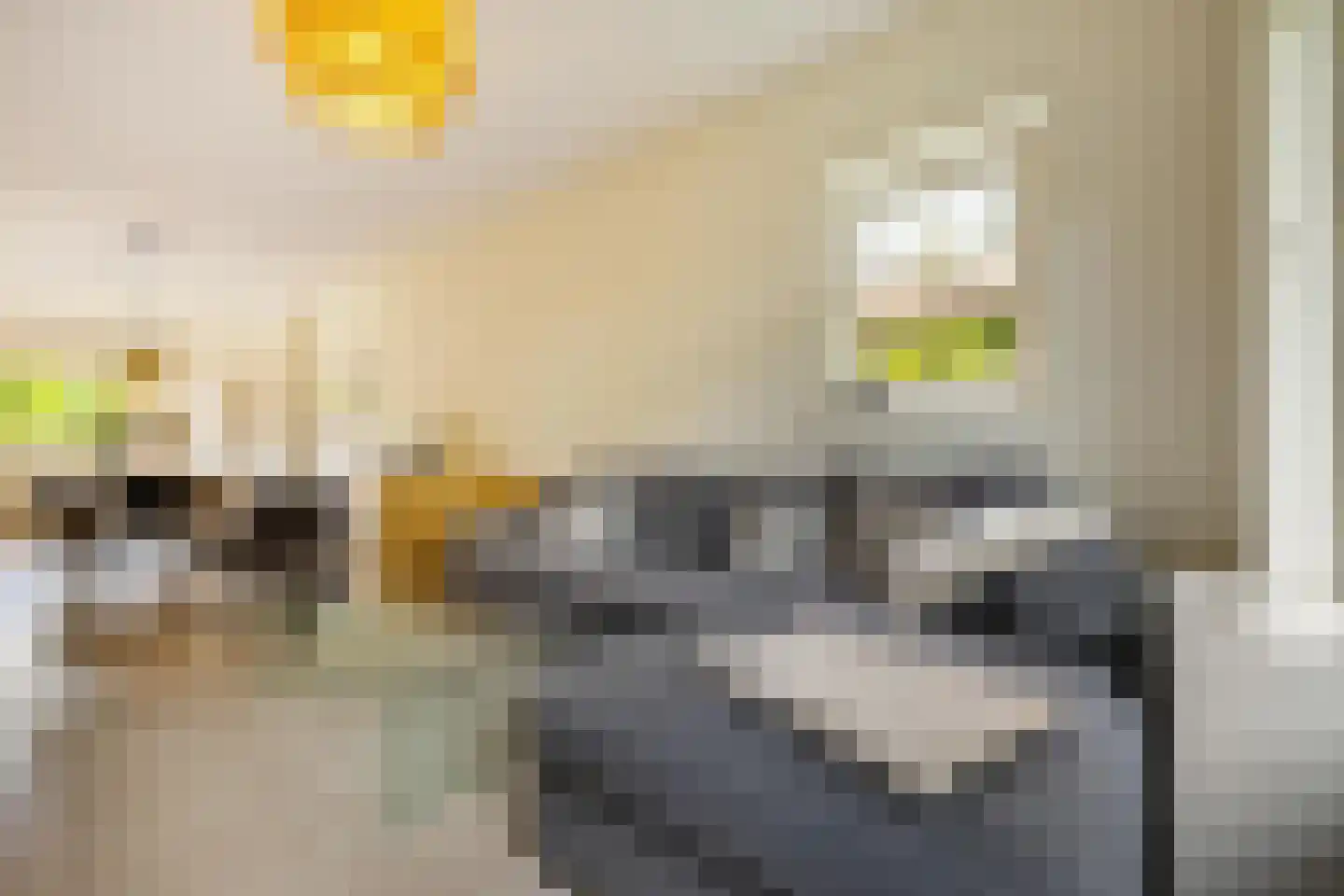 De Savornin Lohmanplein 7 b Groningen thumbnail 31