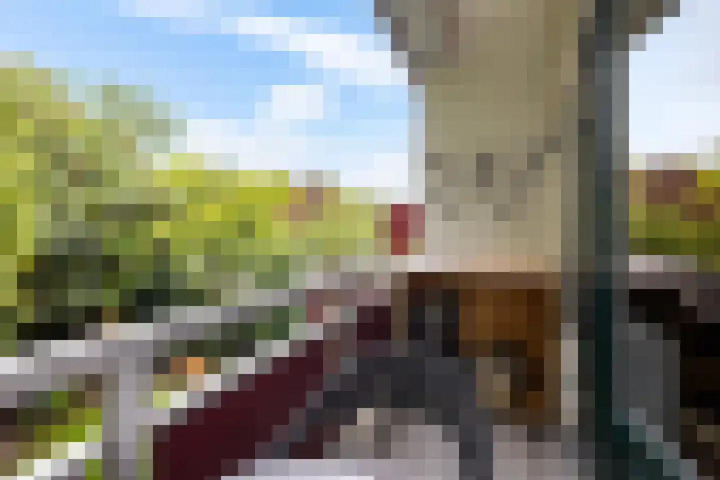 De Savornin Lohmanplein 7 b Groningen thumbnail 35