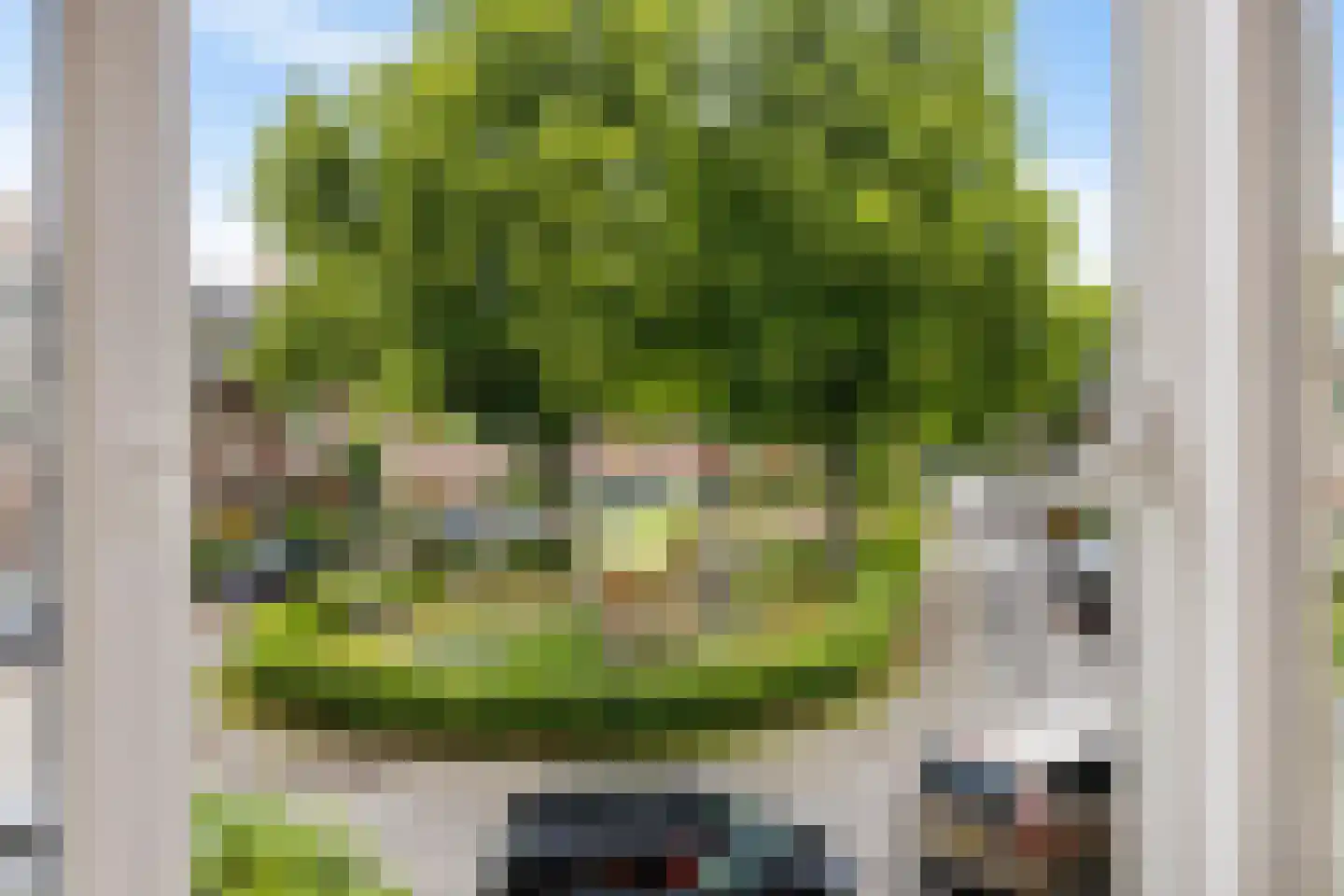 De Savornin Lohmanplein 7 b Groningen thumbnail 38