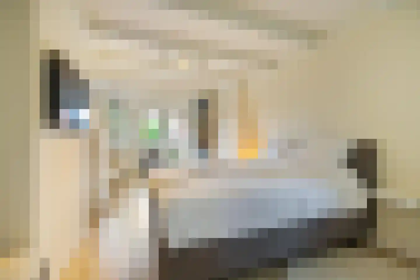 De Savornin Lohmanplein 7 b Groningen thumbnail 4