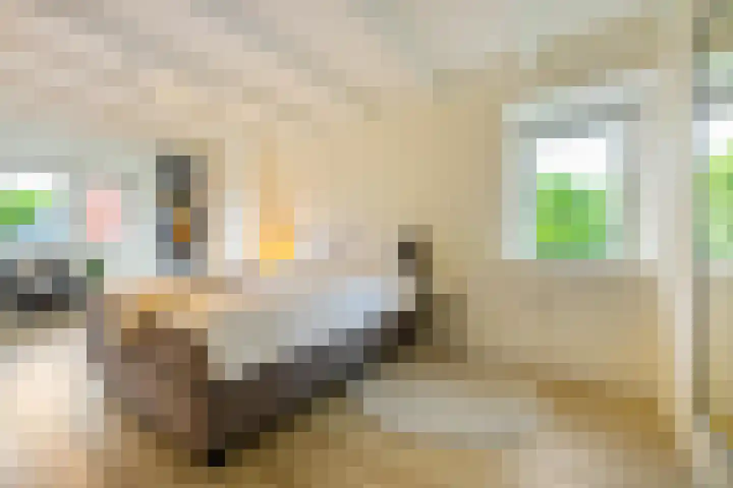De Savornin Lohmanplein 7 b Groningen thumbnail 43