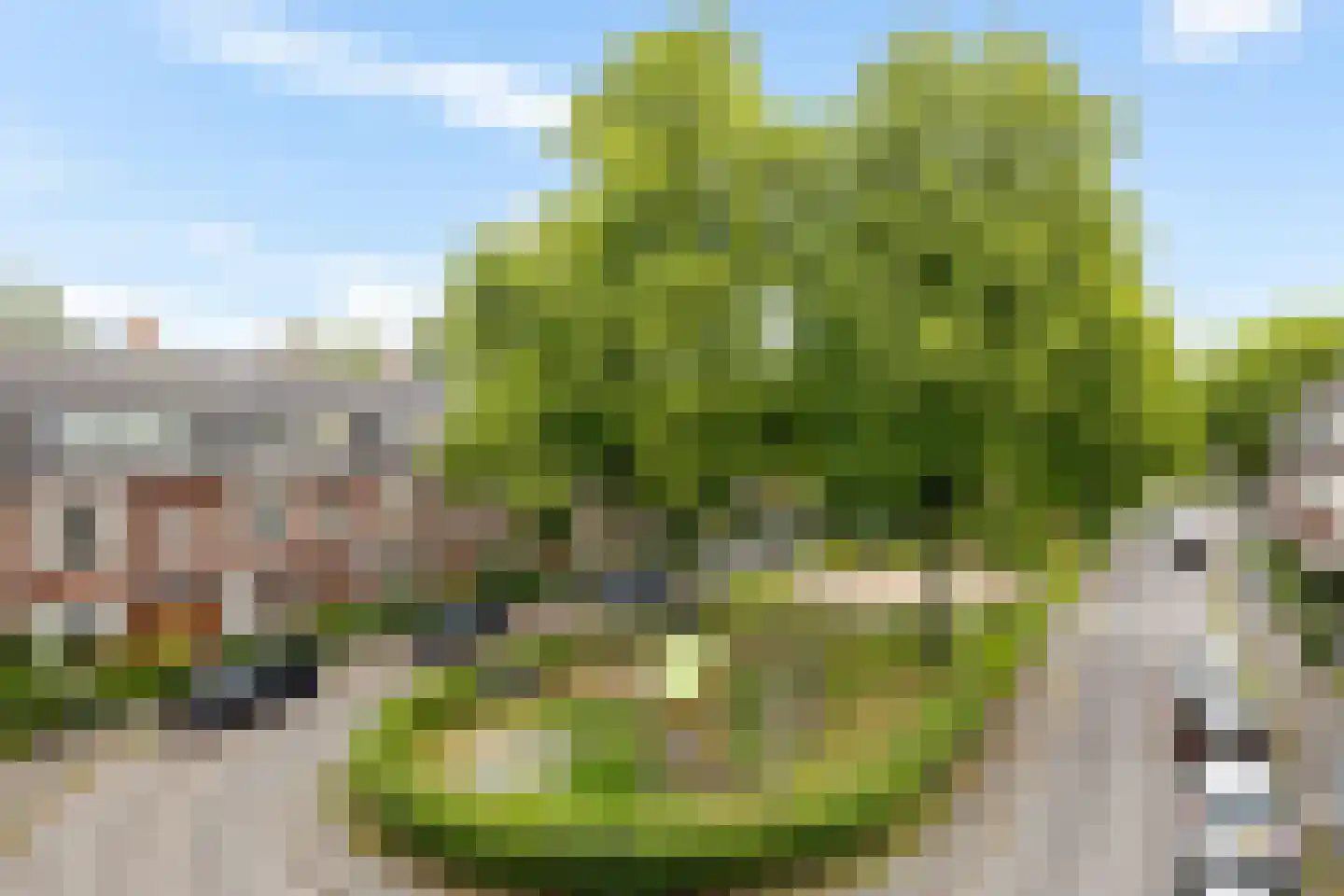 De Savornin Lohmanplein 7 b Groningen thumbnail 46