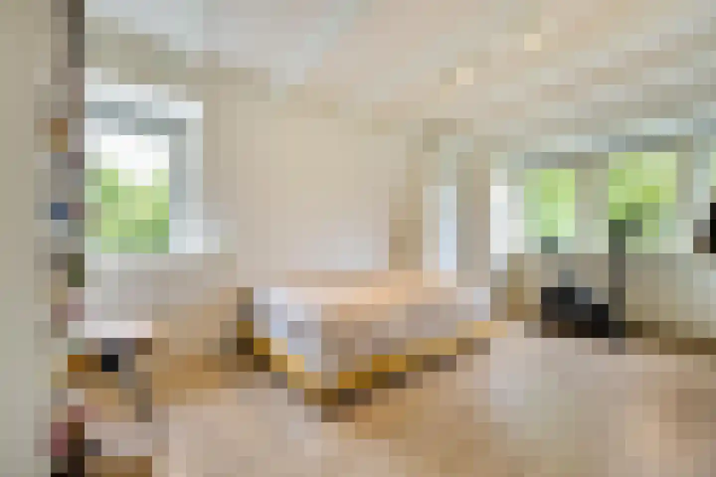 De Savornin Lohmanplein 7 b Groningen thumbnail 47