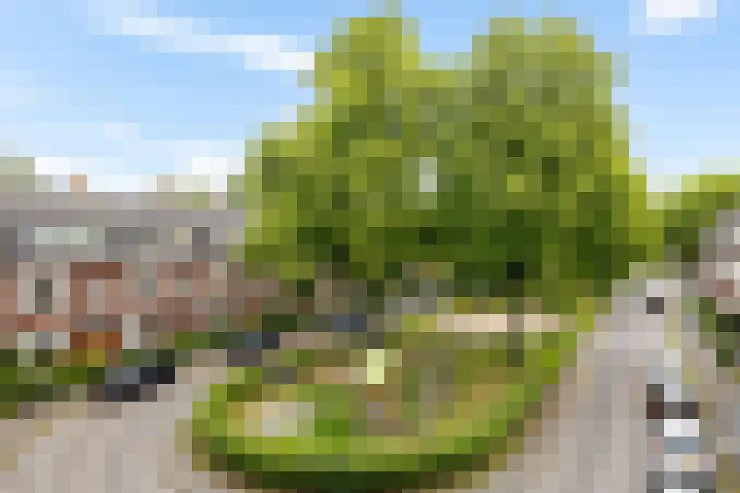 De Savornin Lohmanplein 7 b Groningen thumbnail 49