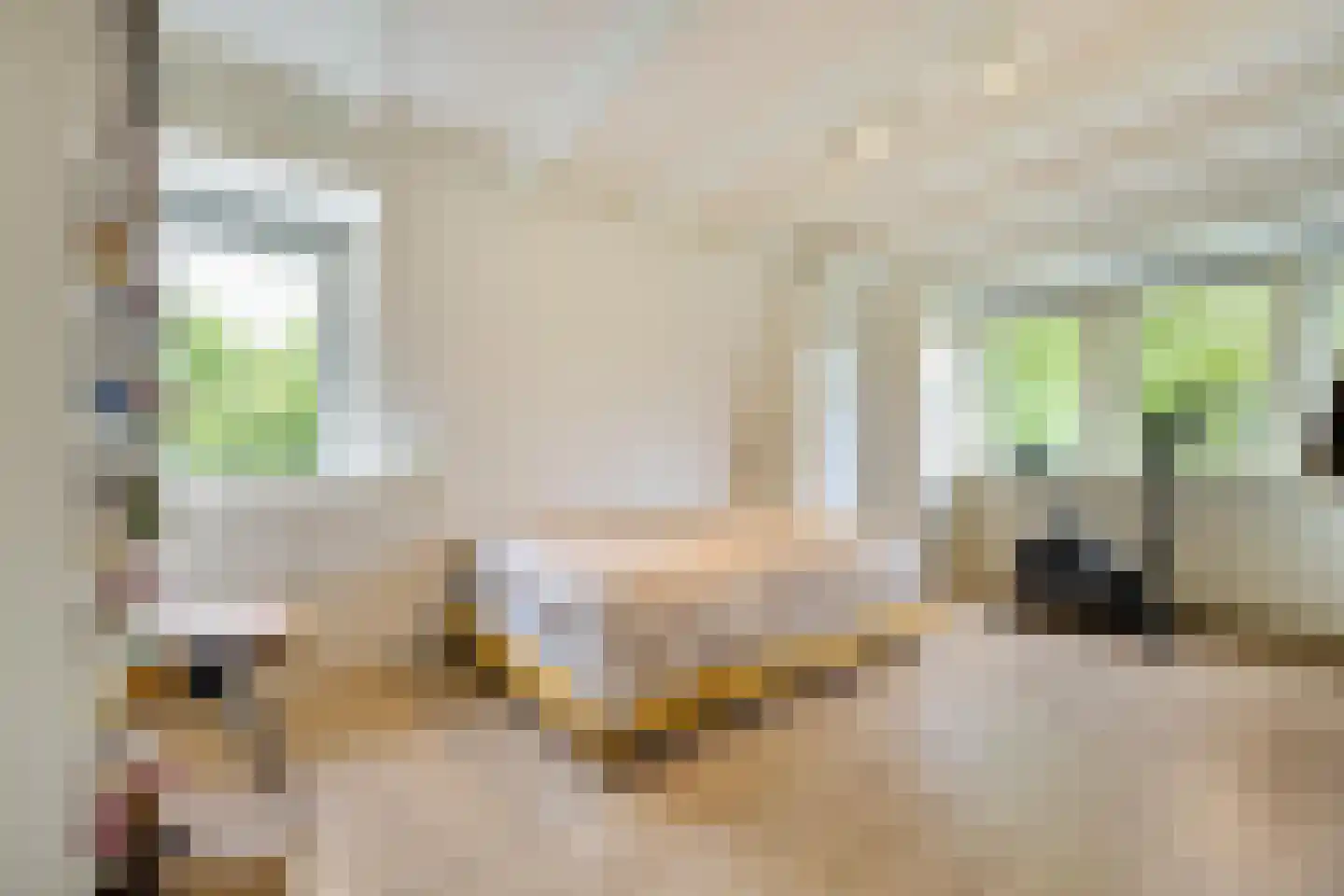 De Savornin Lohmanplein 7 b Groningen thumbnail 50