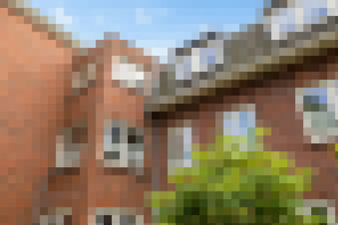 De Savornin Lohmanplein 7 b Groningen thumbnail 8