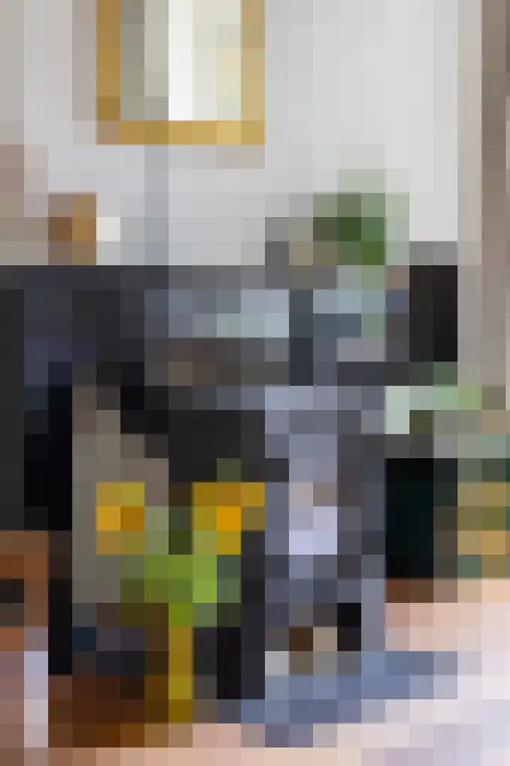 De Savornin Lohmanplein 9 Groningen thumbnail 15