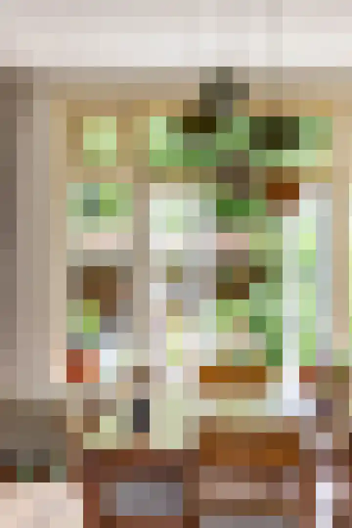 De Savornin Lohmanplein 9 Groningen thumbnail 18