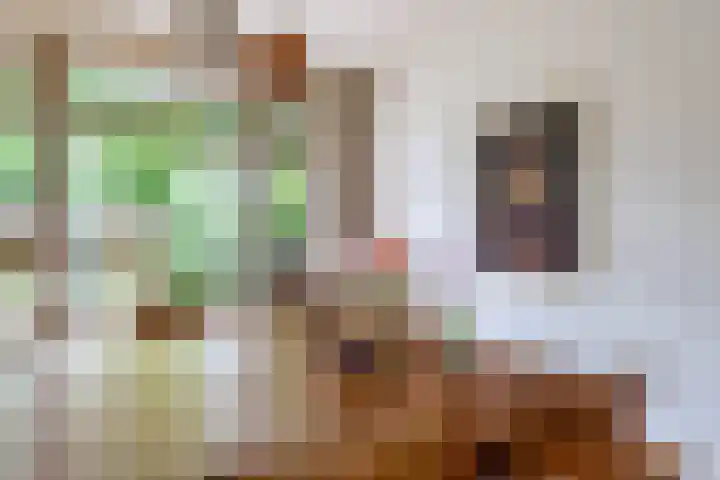 De Savornin Lohmanplein 9 Groningen thumbnail 19