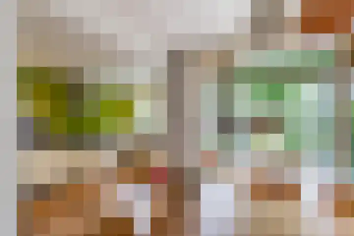 De Savornin Lohmanplein 9 Groningen thumbnail 22