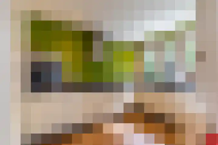 De Savornin Lohmanplein 9 Groningen thumbnail 23