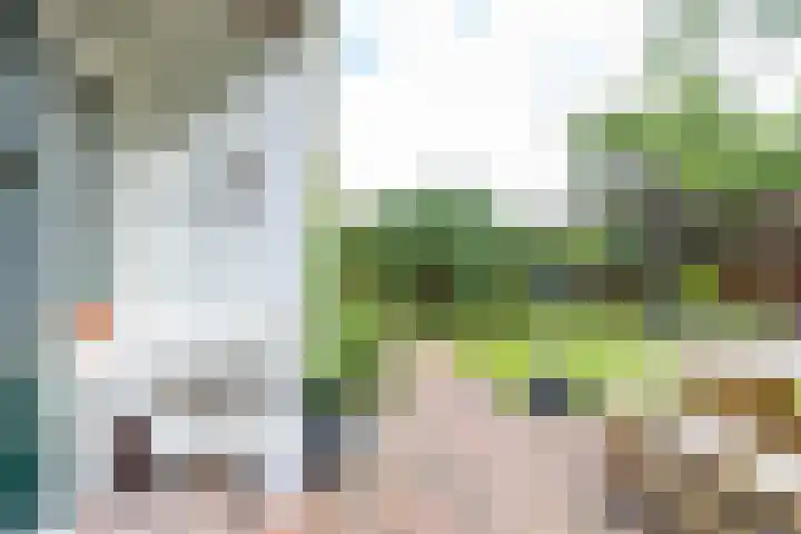De Savornin Lohmanplein 9 Groningen thumbnail 27