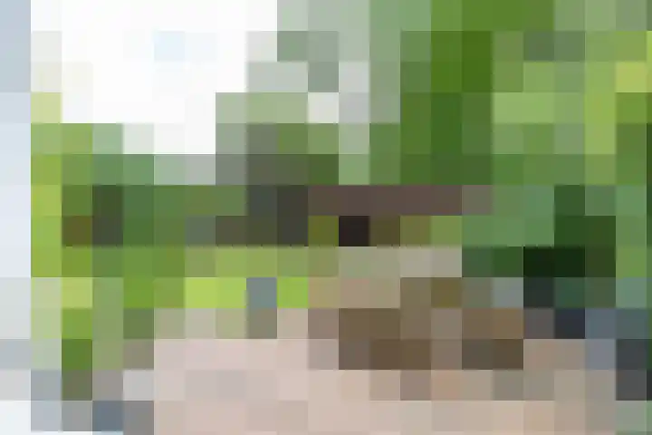De Savornin Lohmanplein 9 Groningen thumbnail 28