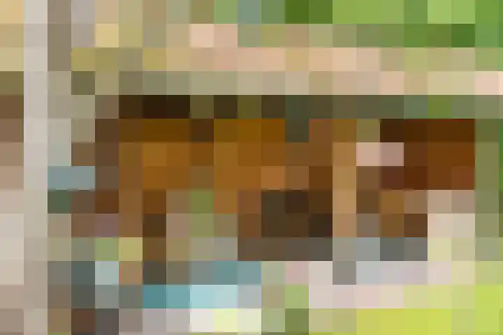 De Savornin Lohmanplein 9 Groningen thumbnail 31