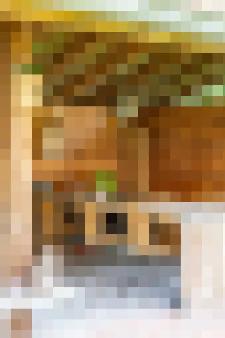 De Savornin Lohmanplein 9 Groningen thumbnail 33