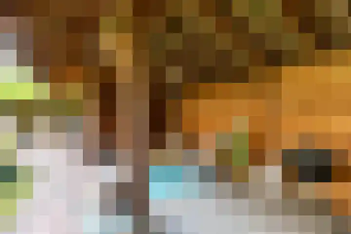 De Savornin Lohmanplein 9 Groningen thumbnail 34